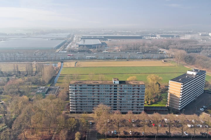 Foto 4 van Seringenplantsoen 93