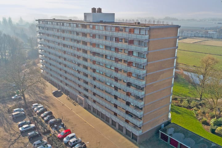 Foto 5 van Seringenplantsoen 93