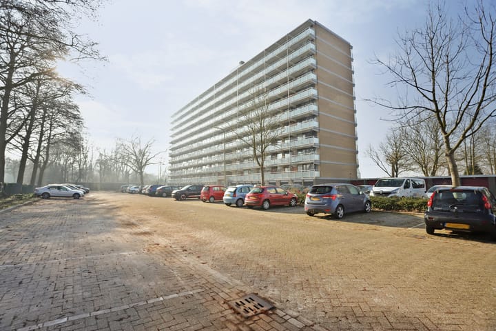 Foto 6 van Seringenplantsoen 93