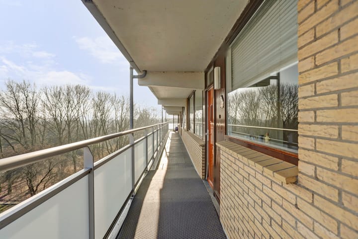 Foto 8 van Seringenplantsoen 93