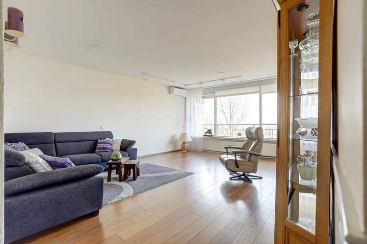 Foto 10 van Seringenplantsoen 93