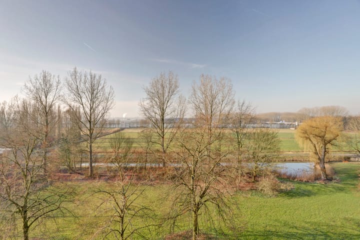 Foto 16 van Seringenplantsoen 93