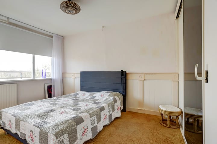 Foto 20 van Seringenplantsoen 93