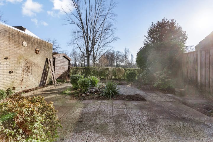 Foto 4 van Frans Halsstraat 9