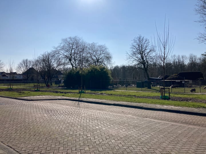 Foto 32 van Noordhoren 41