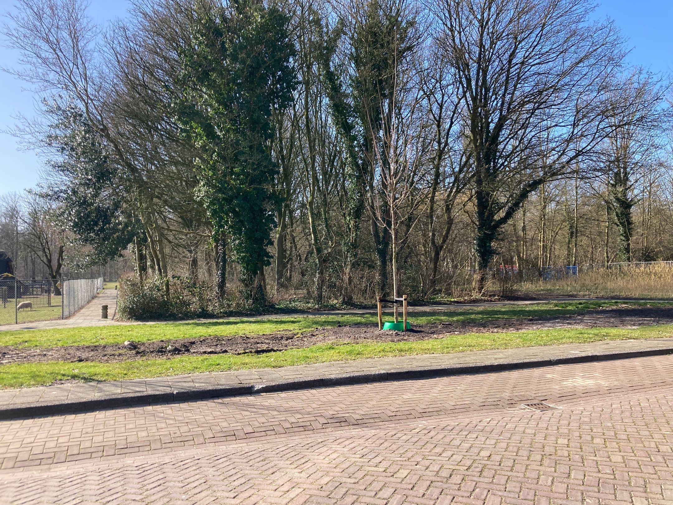 Foto 33 van Noordhoren 41