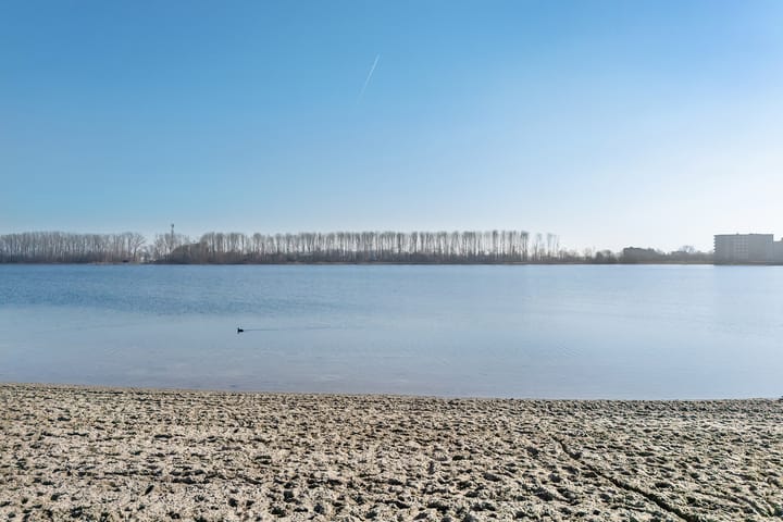 Foto 48 van Specerijenmolen 17