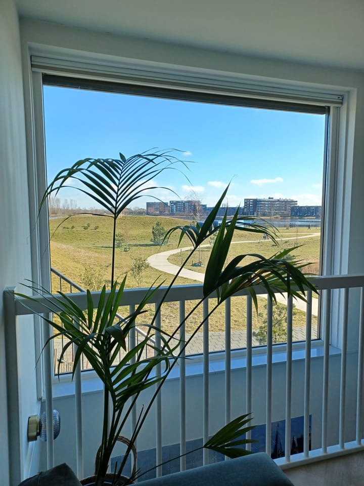 Foto 51 van Specerijenmolen 17