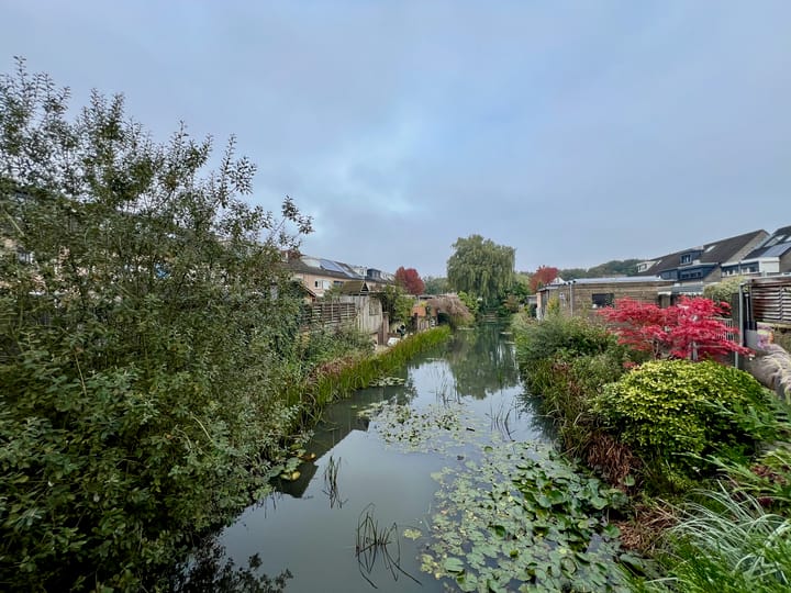 Foto 47 van Kralingenstraat 24