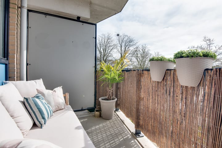 Foto 10 van Thorbeckeplantsoen 4