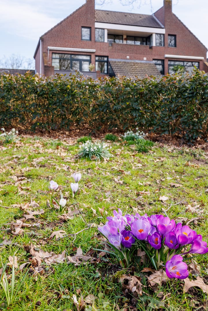 Foto 31 van Kellerberg 50