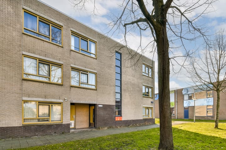 Foto 4 van Lavaspad 14