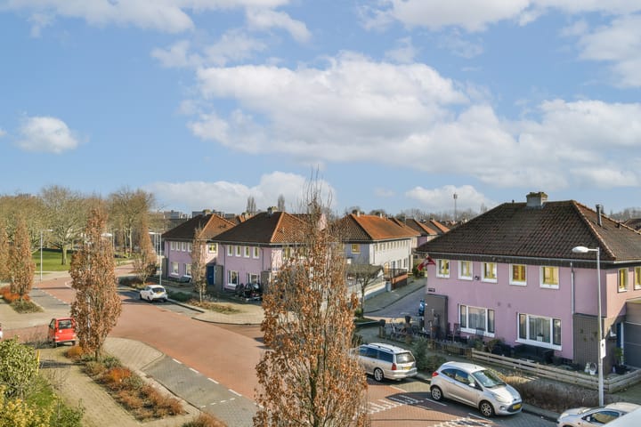 Foto 13 van Lavaspad 14