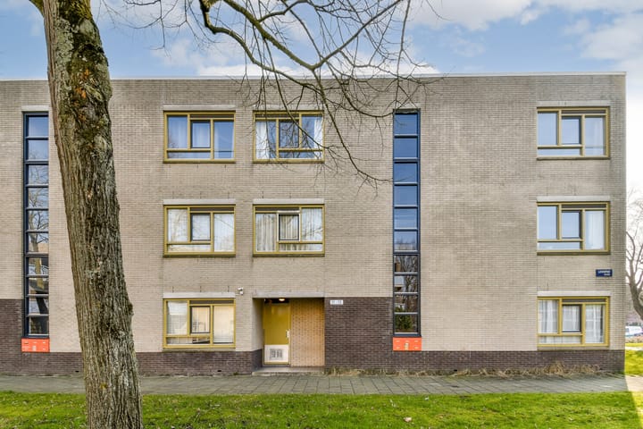 Foto 22 van Lavaspad 14