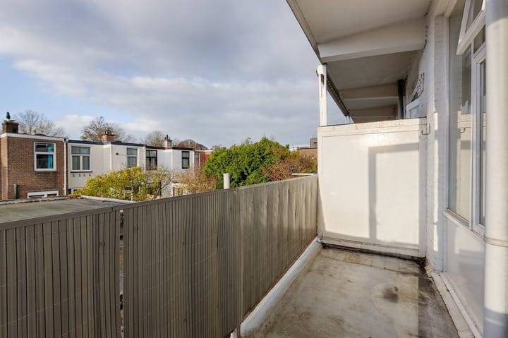 Foto 18 van van Halewijnlaan 253