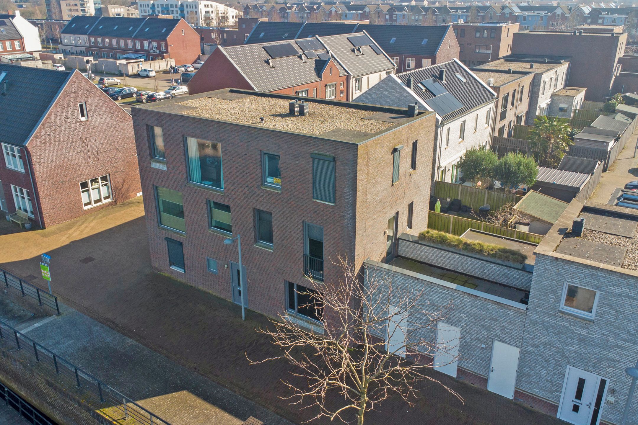 Foto 6 van Zilverschat 25