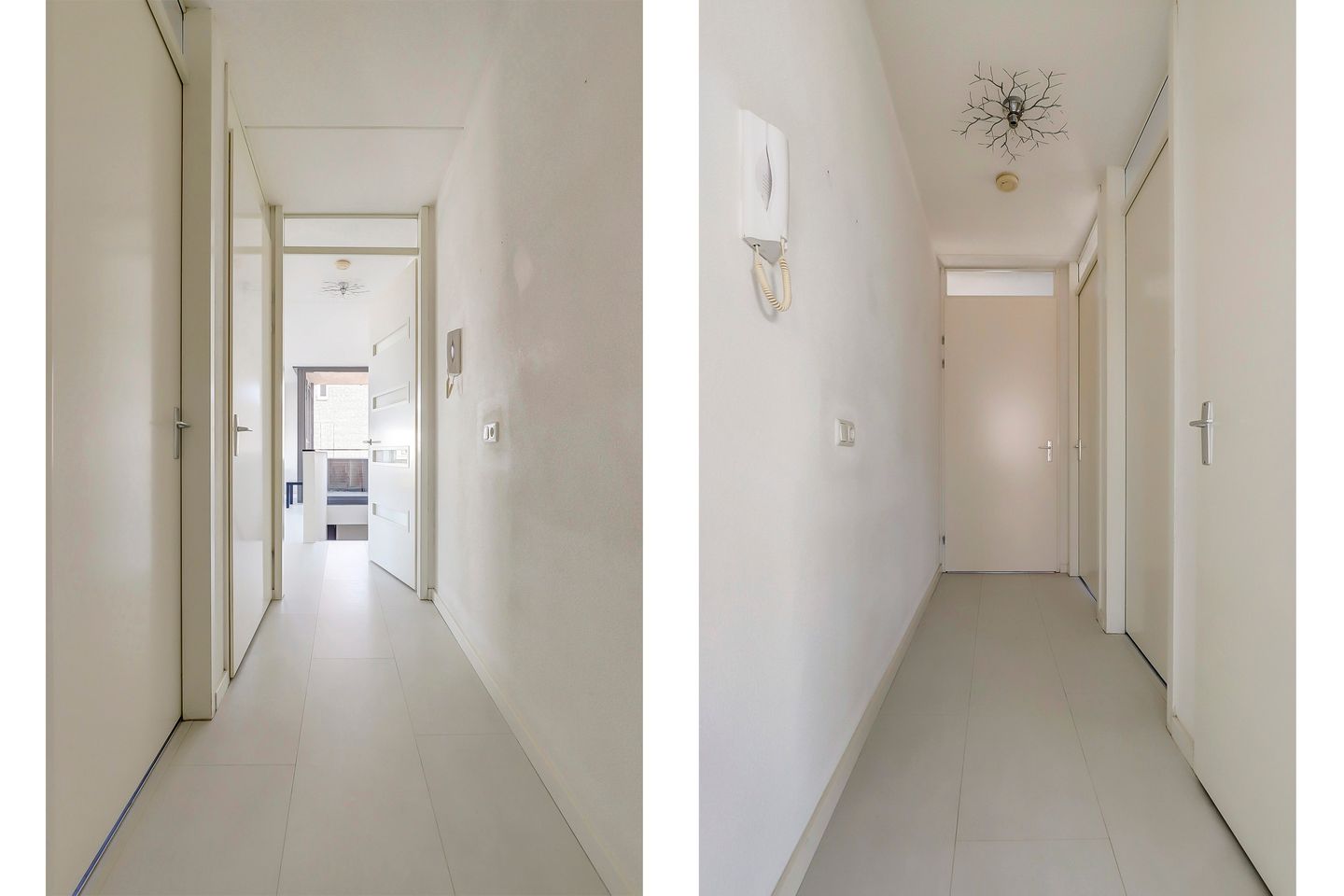 Foto 20 van Zilverschat 25