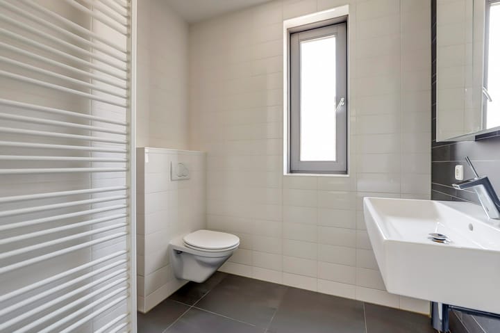 Foto 24 van Zilverschat 25