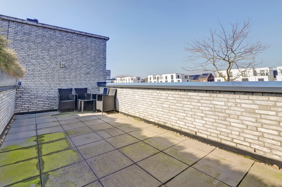 Foto 26 van Zilverschat 25