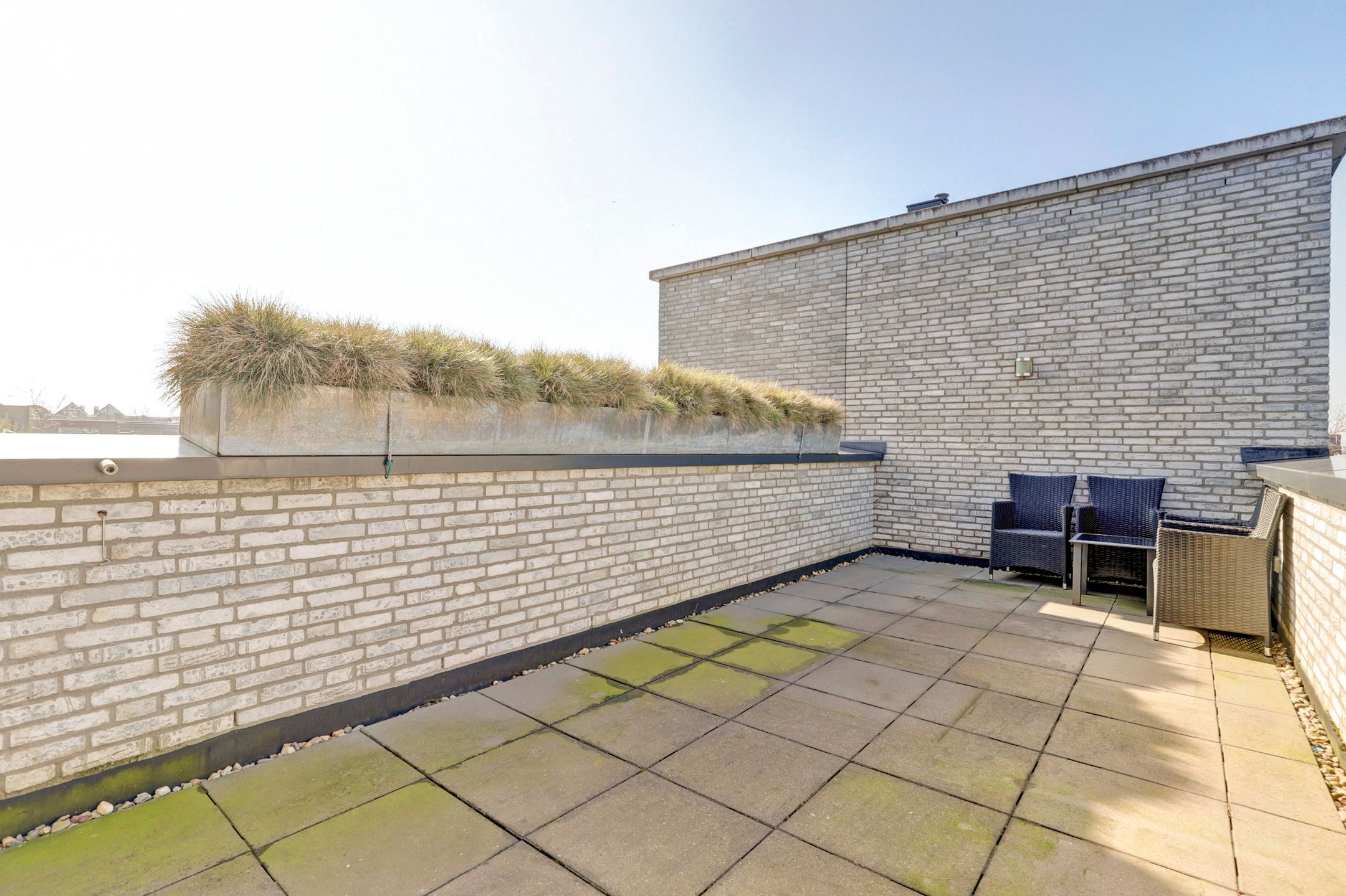 Foto 27 van Zilverschat 25