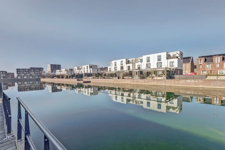 Foto 31 van Zilverschat 25