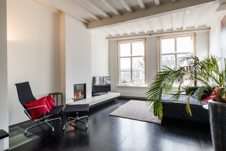 Foto 3 van Springweg 60-A