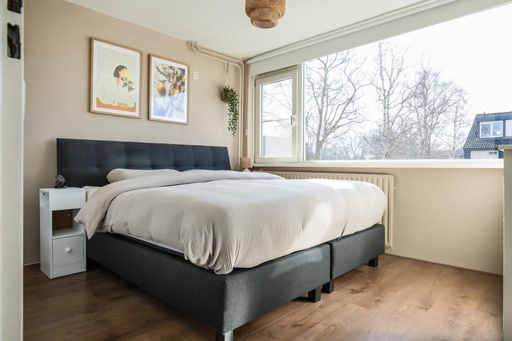 Photo 30 of Oostmoor 40