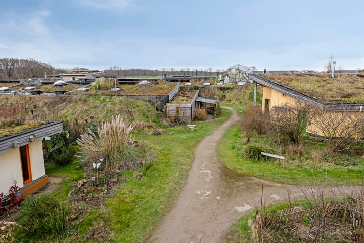 Foto 48 van Rietgors 24