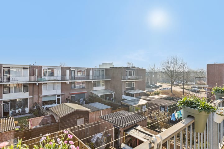 Foto 24 van Sluiswachter 29