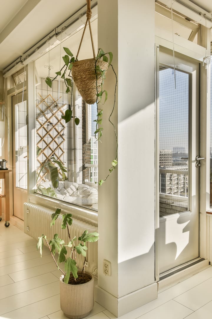 Foto 7 van Maassluisstraat 238