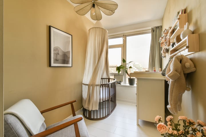 Foto 15 van Maassluisstraat 238