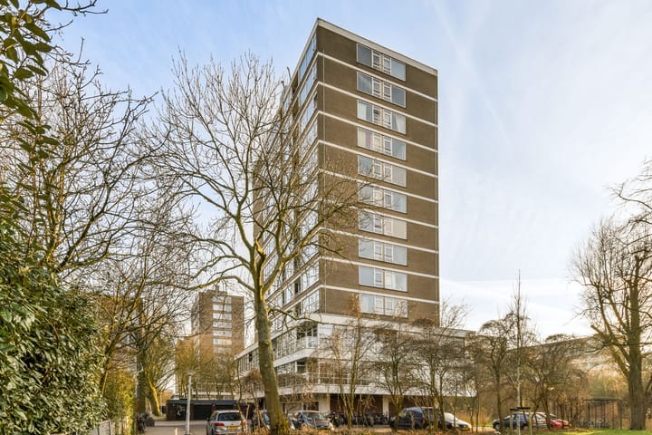 Foto 19 van Maassluisstraat 238