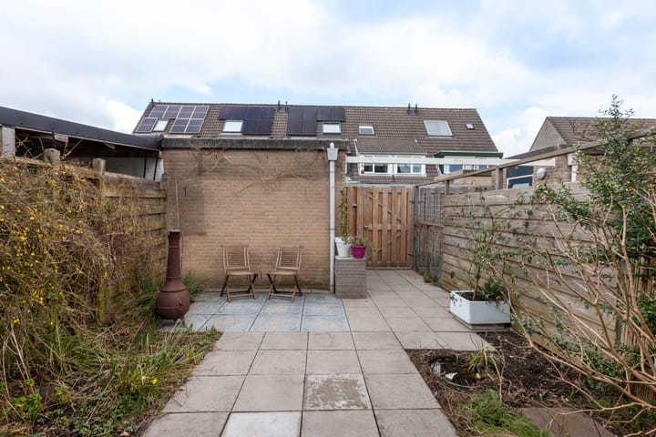 Foto 2 van Leermos 5