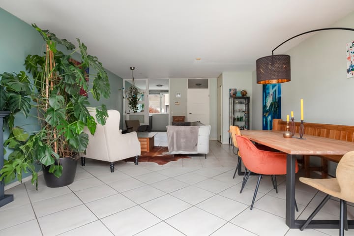 Foto 4 van Leermos 5