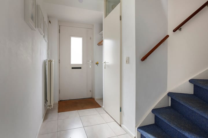 Foto 6 van Leermos 5