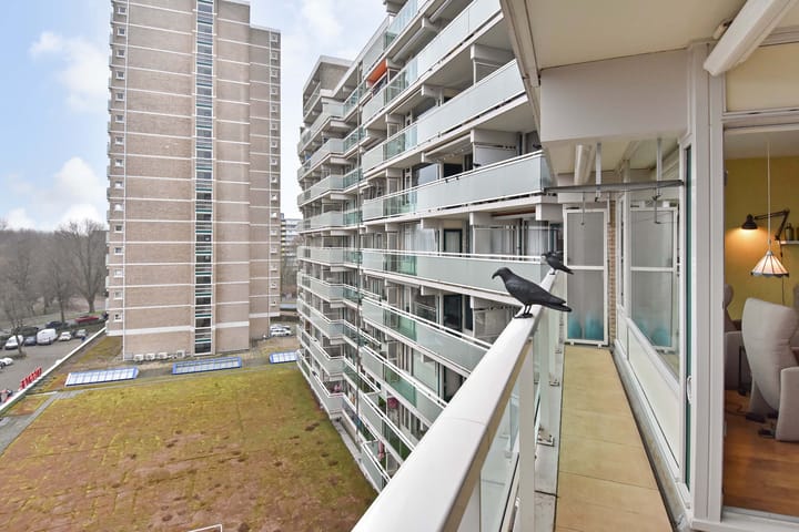 Foto 18 van Forellendaal 878