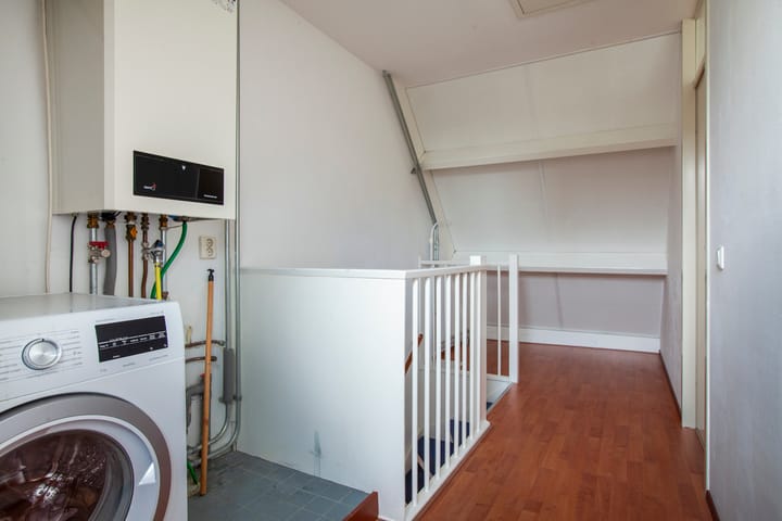 Foto 25 van Leermos 5