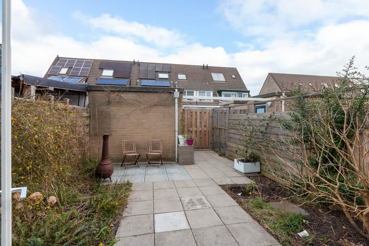 Foto 28 van Leermos 5