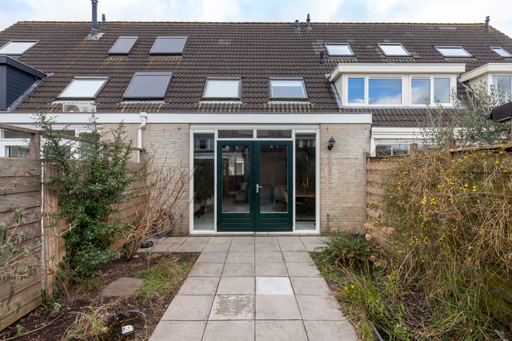 Foto 29 van Leermos 5