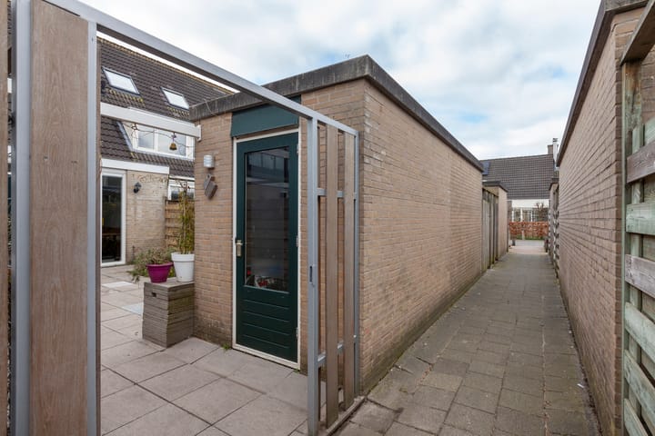 Foto 32 van Leermos 5