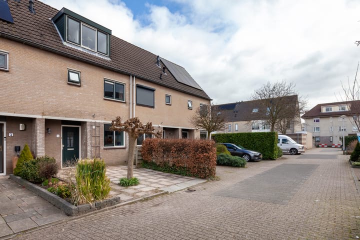 Foto 33 van Leermos 5