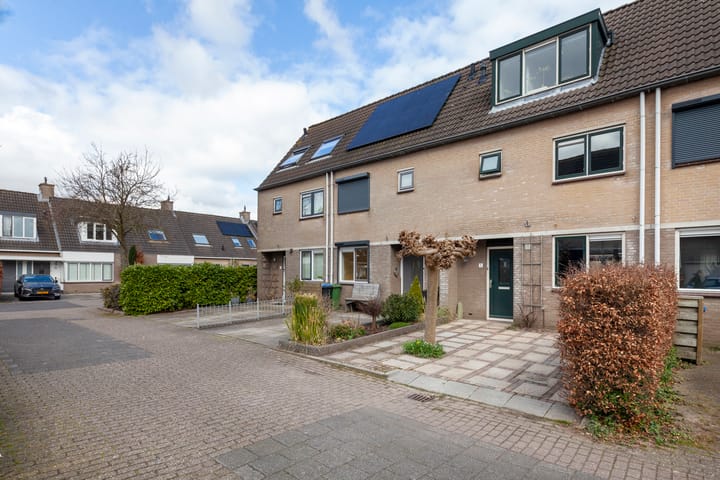 Foto 34 van Leermos 5