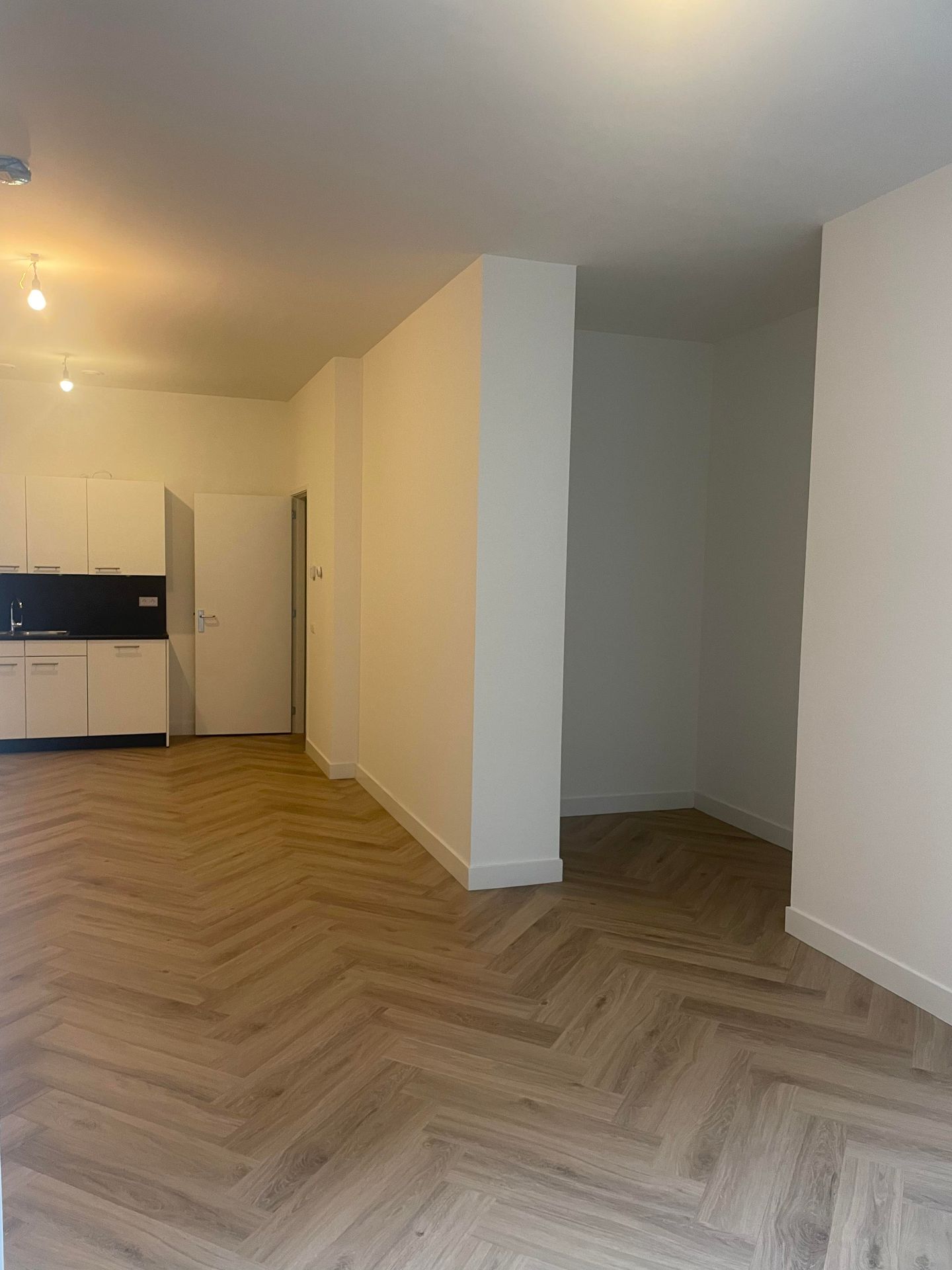 Foto 4 van Ruysdaelstraat 116-H