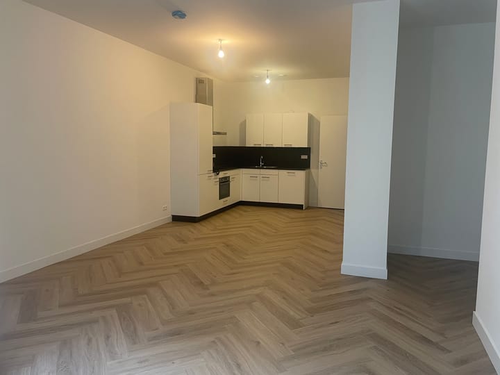 Foto 5 van Ruysdaelstraat 116-H