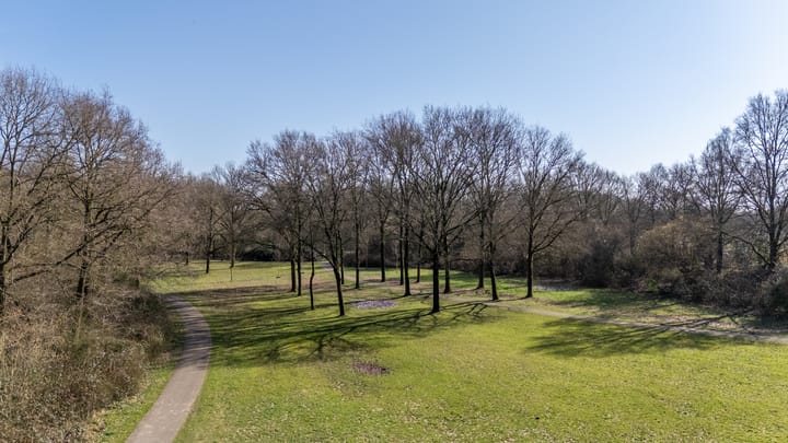 Foto 34 van Europalaan 101