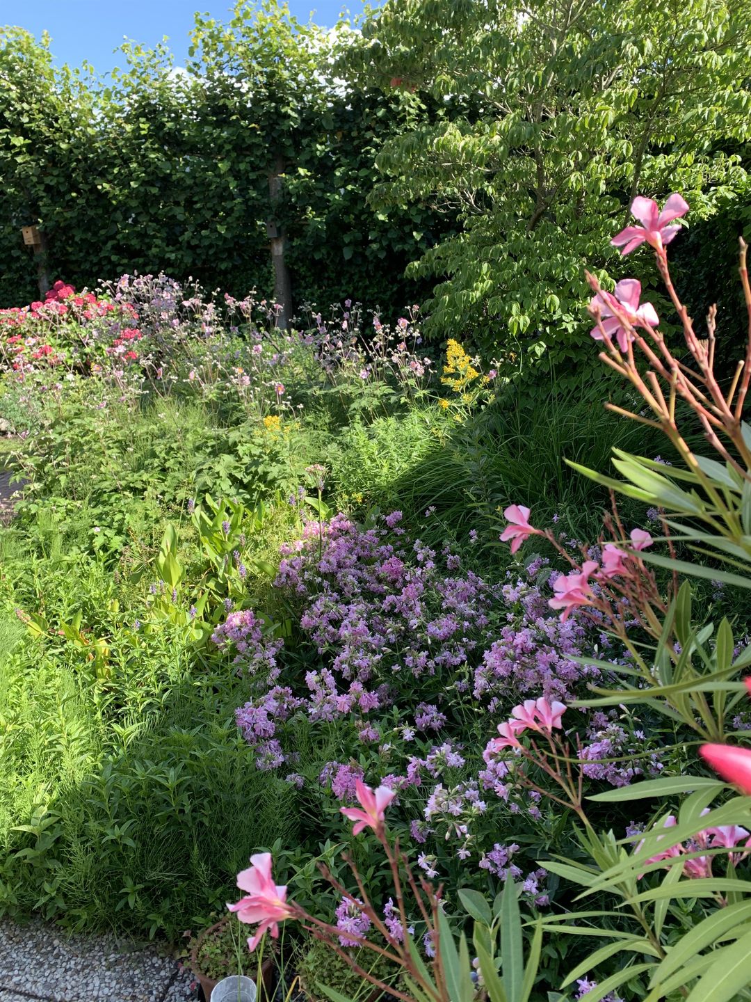 Foto 41 van Laan van Zuilenveld 26