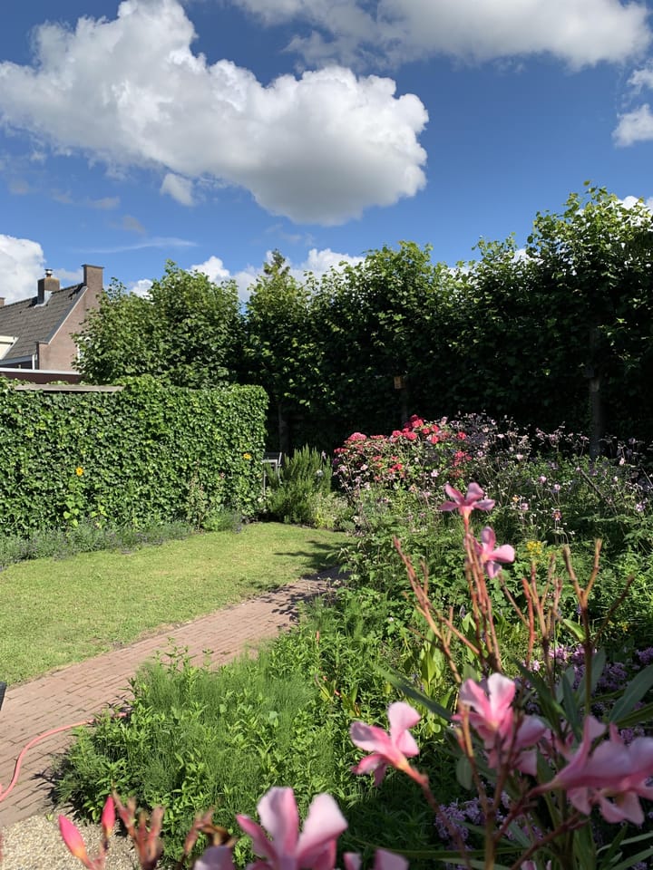 Foto 42 van Laan van Zuilenveld 26