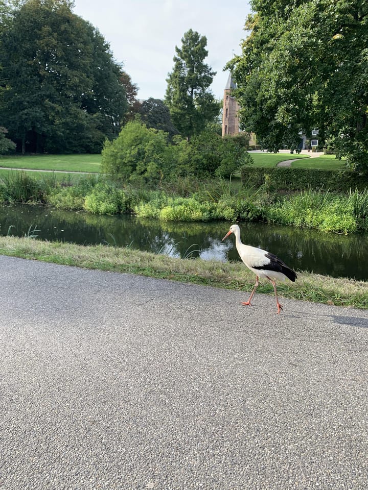 Foto 43 van Laan van Zuilenveld 26