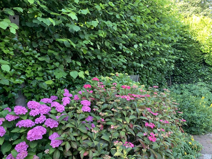 Foto 44 van Laan van Zuilenveld 26