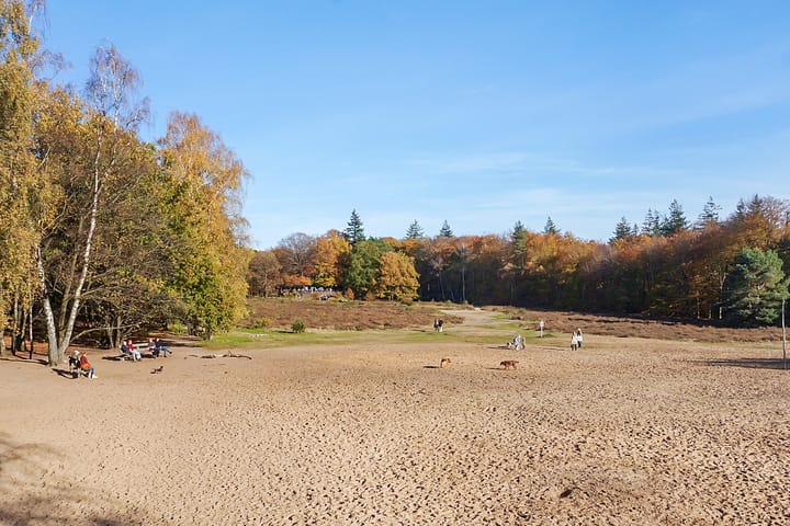 Photo 46 of van Bennekomweg 38-A